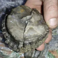 سنگ یادستبند قدیمی|جواهرات|چرداول, |دیوار