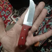 چاقو کوچیک کوهستانی|کوهنوردی و کمپینگ|گالیکش, |دیوار