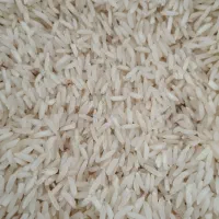 ۵۵۰ کیلو برنج دم زرد