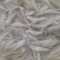 ماهی حواسیم سرشار از اسیدهای چرب وامگا 3