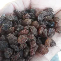 کشمش ابگیری افتابی سایه خشک شیره انگور شانی شرابی|عمده‌فروشی|تهران, میدان میوه و تره‌بار مرکزی|دیوار