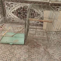 قفس پرنده|لوازم جانبی حیوانات|قم, تعویض پلاک|دیوار