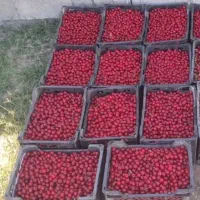 مرکز خرید  والوچه