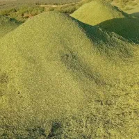 خوراک دام یونجه علف بیده خاش|حیوانات مزرعه|خمک, |دیوار