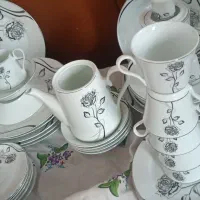 یکدست چینی همه چیز ست بخاطر کمبود جا بفروش میرسد|ظروف سرو و پذیرایی|تهران, عباسی|دیوار