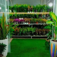 واگذاری گلخانه