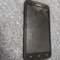 تاج ال سی دی