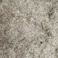 کاه دسته دروگر|لوازم جانبی حیوانات|مراوه, |دیوار