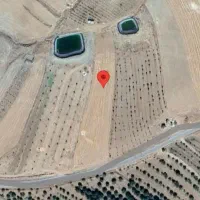 زمین کشاورزی