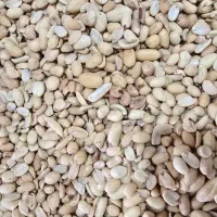 کارگر خانم در تفت|استخدام صنعتی، فنی، مهندسی|تفت, |دیوار