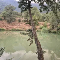 تور اقتصادی گلستان گردی