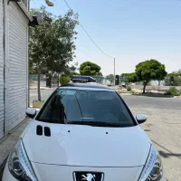 207i پاناروما 1402در حد خشک
