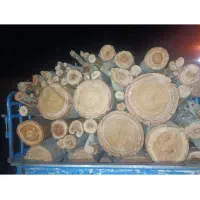 خریدچوب درخت.درختان . و هیزم