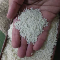 برنج دمسیاه اعلاء. مستقیم از کشاورز