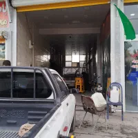 خواهان شاگرد نقاش