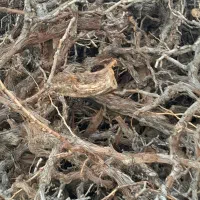 چوب|خدمات باغبانی و درختکاری|خرمدشت, |دیوار