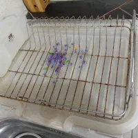 آبچکان همراه زیری و جا قاشقی