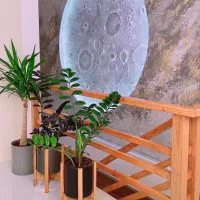 رهن-آپارتمان-دو-خواب-پوربیرک