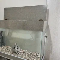 آکواریوم کمد دار|ماهی|شهریار, شهریار|دیوار