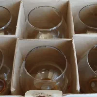 جام Misker|ظروف سرو و پذیرایی|قائن, |دیوار