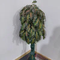 درختچه