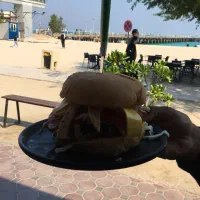 آموزش صفر تا صد فست فود