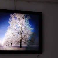 تابلو|تابلو، نقاشی، عکس|رشت, معلولین|دیوار