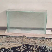 اکواریوم|ماهی|مسجد سلیمان, |دیوار