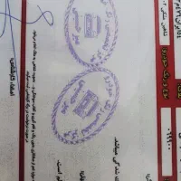 شاهینGسانروف دار عروسک|خودرو سواری و وانت|گلپایگان, |دیوار