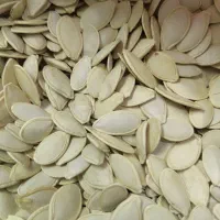 تخمه کدو  درشت امسالی