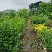 ویلا/خونه باغی/استثنایی/فروش فوری/کردکوی|فروش دفتر صنعتی، کشاورزی، تجاری|گرگان, |دیوار