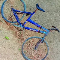 فروش دچرخه