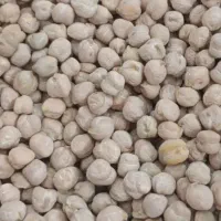 نخود تازه کیلویی220