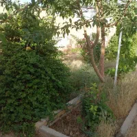 فروش خونه قدیمی|فروش زمین و ملک کلنگی|جرقویه, |دیوار