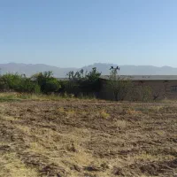 گاوداری شیری ۱۰۰ راسی + ۳/۵ هکتار زمین و باغ|فروش دفتر صنعتی، کشاورزی، تجاری|خرمدره, |دیوار