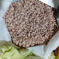لوبیا 400وعدسی 250