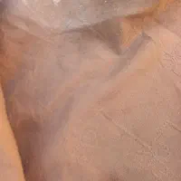 موکت تمیز|موکت|تربت‌حیدریه, کلاته توکلی|دیوار