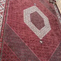 فرش توس مشهد|فرش|زنجان, |دیوار