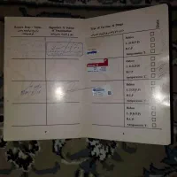 واگذاری توافقی|سگ|نورآباد ممسنی, |دیوار