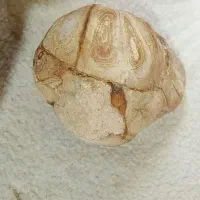 سنگ|جواهرات|شیراز, دروازه اصفهان|دیوار