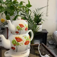 پاسماوری نوقندان نو|ظروف سرو و پذیرایی|تهران, امام زاده حسن|دیوار