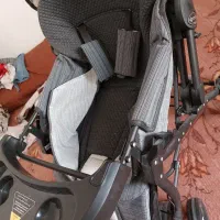 کالسکه لوکس و کاملا نو چیکو دلیجان