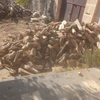 چوب خرد شده|خدمات باغبانی و درختکاری|شاهرود, |دیوار