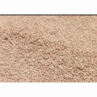 برنج فجر هاشمی