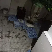 خانه فروشی|فروش خانه و ویلا|سرپل ذهاب, |دیوار