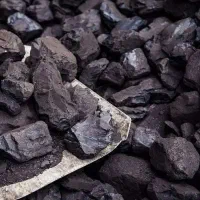 فروش زغال