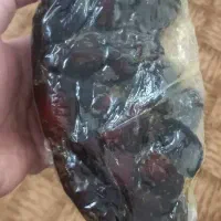 خرما کبکاب بوشهر|عمده‌فروشی|اردبیل, |دیوار