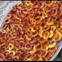 میوه خشک،سنجد،پودر سنجد،سبوس برنج