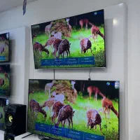 تلویزیون اسنوا بدون سود یا کارمزد