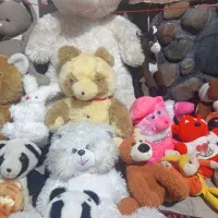 100 عروسک|اسباب‌‌بازی|نوشهر, |دیوار